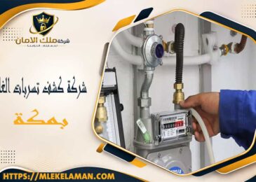 شركة كشف تسربات الغاز بمكة